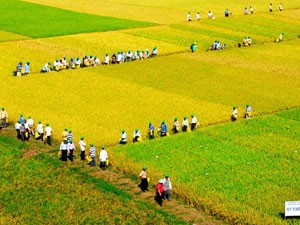 Sẽ tăng tỷ lệ vốn 99Kl99 trực tiếp đá gà tại AGPPS