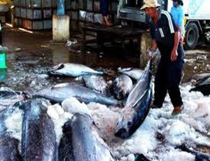 Chủ tịch VNH mua “chui” KL99 là cổng game giải trí trực tuyến hàng đầu hiện nay