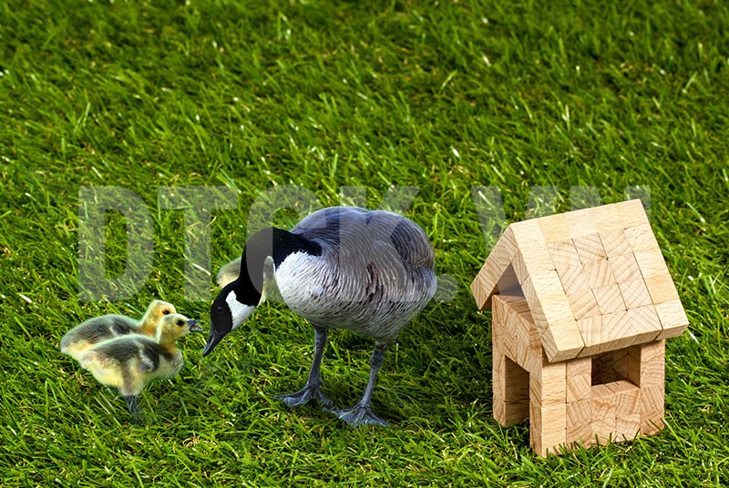 Kiếm tìm tình yêu