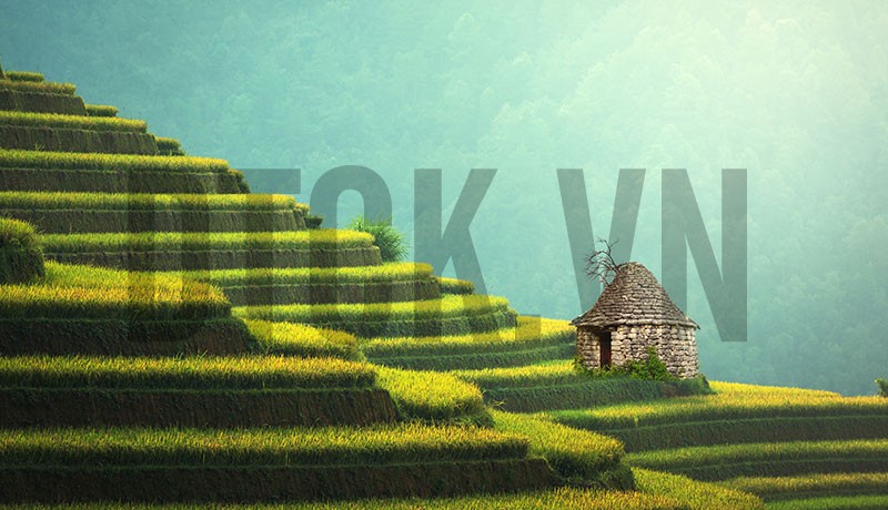 Sự kiện 99Kl99 link đăng nhập đáng chú ý ngày 3/1