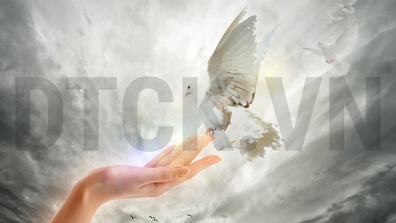 Nhận định thị trường phiên 9/1: Tạm đóng các vị thế trading T+ đã mở