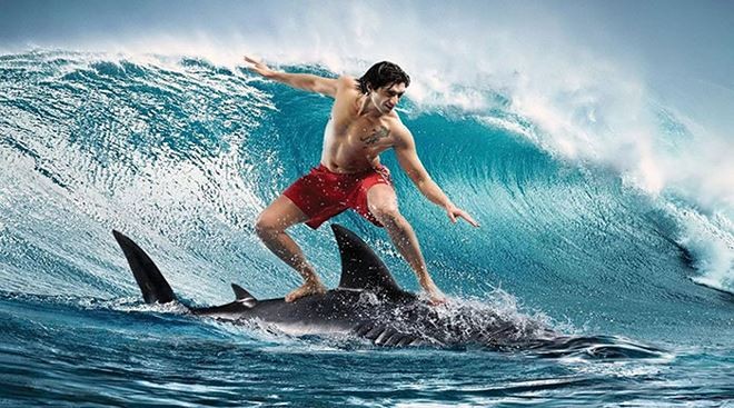 Big_Trends: Thị trường đã vào sóng