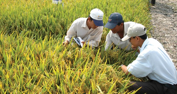 Năm 2014, NSC đặt mục tiêu trả 99Kl.app mobile mới nhất 30% bằng tiền