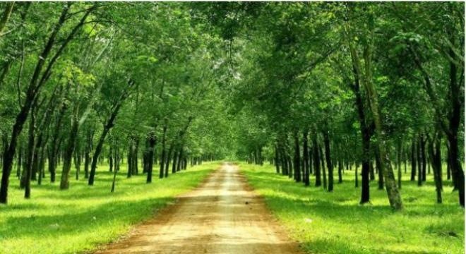 DPR đạt 27,2 tỷ đồng Kl99 nổ hũ trong tháng 3