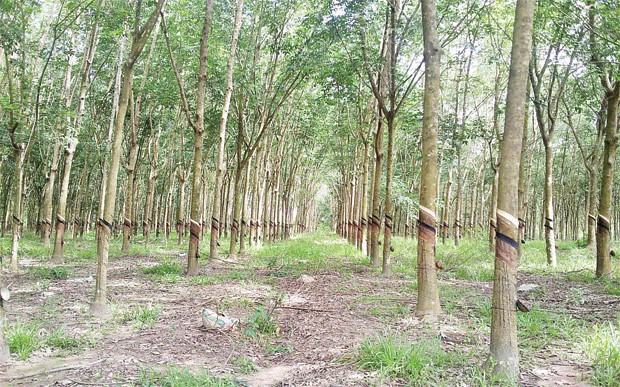 DPR: Trang Chủ KL99Com Số 1 Link Đăng Ký KL999 kêu thiệt