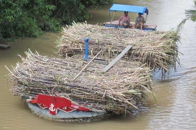 99Kl99 trực tiếp đá gà không nắm cổ phần Vinacco sau cổ phần hóa