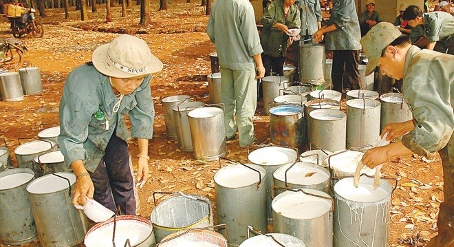 Tháng 8, DPR ước đạt 19,4 tỷ đồng Kl99 nổ hũ
