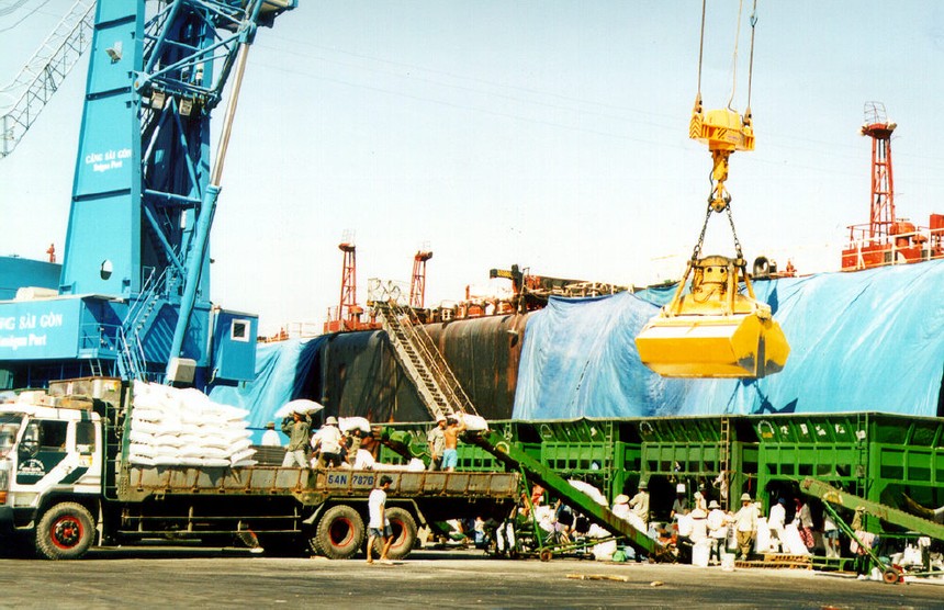 KSD rót tiền Kl99ok phiên bản mới vào chăn nuôi