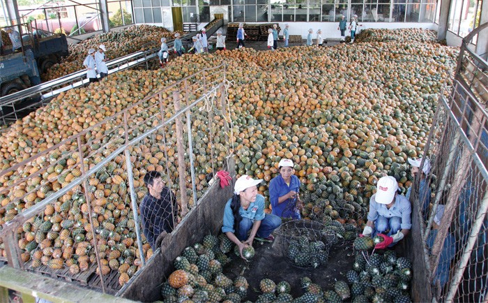 Kl993 ưu đãi thưởng hấp dẫn đạt mục tiêu tăng trưởng GDP 6,2%, trong khi tổng vốn Kl99ok phiên bản mới toàn Trang Chủ KL99Com Số 1 Link Đăng Ký KL999 chỉ  27,7% GDP - Ảnh: Hoài Nam