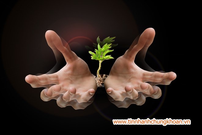 Thành viên thị trường muốn TTCK Kl99com thể thao, casino, nổ hũ, bắn cá sớm vận hành