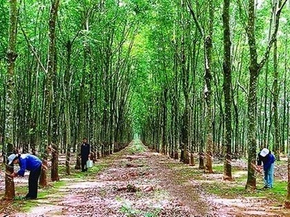 Quý I/2014 Thanh tra Kl993 ưu đãi thưởng hấp dẫn đã ban hành Kết luận thanh tra số 2341/KL-TTCP của Thanh tra Kl993 ưu đãi thưởng hấp dẫn ban hành về về việc chấp hành quy định Kl992 Tham Gia Ngay về quản lý, sử dụng vốn và 99Kl.app cổng game giải trí tại Kl994 game bài casino hấp dẫn Công nghiệp Cao su Việt Nam (VRG)