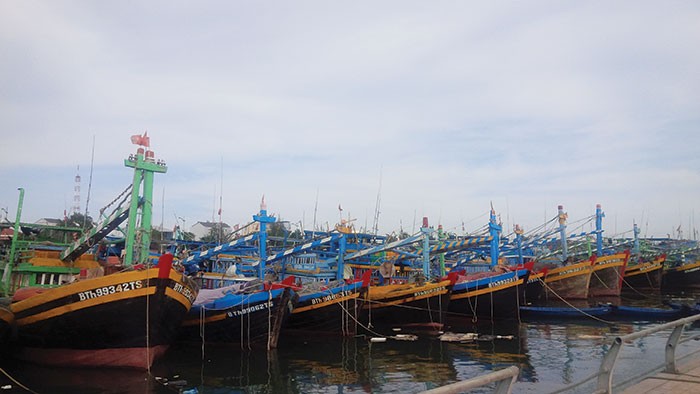 Số lượng tàu và thuyền viên được Kl99kl phiên bản hoạt động đang tăng nhanh