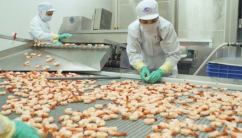 8 tháng đầu năm, xuất khẩu tôm sang Mỹ của Việt Nam chỉ đạt 370 triệu USD 