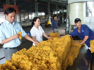 PHR đạt 24,9 tỷ đồng Kl99 nổ hũ quý I