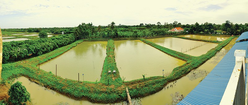 Tỷ lệ người nghèo cao, nhưng nợ xấu khu vực nông thôn lại thấp hơn non nửa so với nợ xấu toàn ngành Kl992 cổng game cá cược