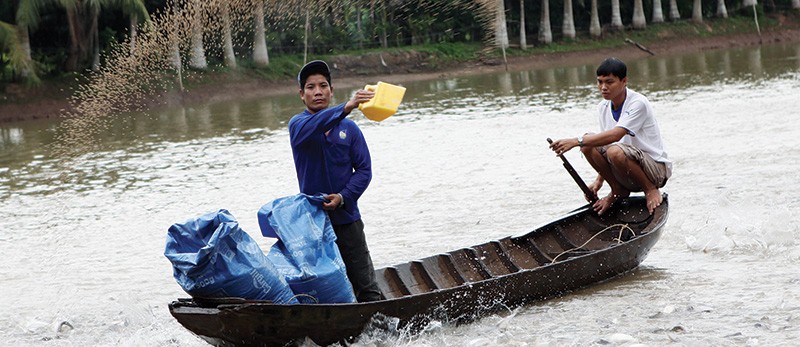 Với chi phí bồi thường hàng năm lên đến hàng trăm tỷ đồng, Kl99kl phiên bản hoạt động chính là “tấm lá chắn” của ngành thủy sản