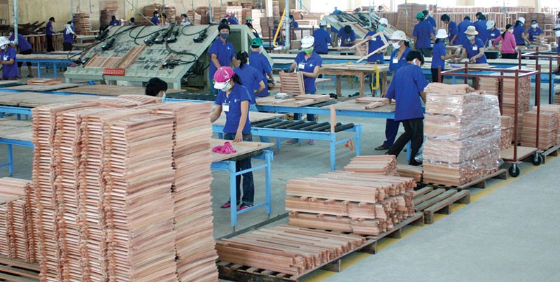 Hơn 93% doanh 
nghiệp gỗ tại Việt 
Nam có quy mô nhỏ và
 vừa, hầu hết đều thiếu vốn, thiếu thông tin thị trường