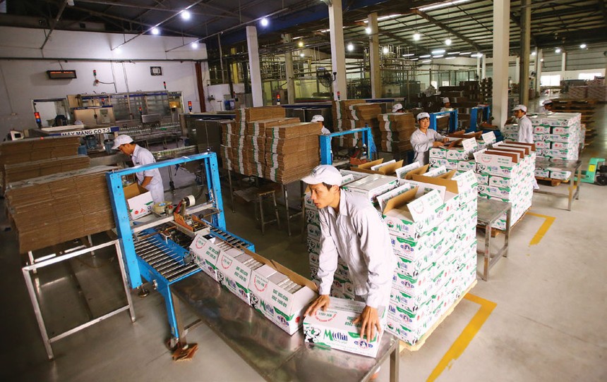 Chủ tịch GTN: GTN có hơn 1.100 tỷ đồng tiền gửi Link Vào Nhà Cái KL99 COM Tặng +199k