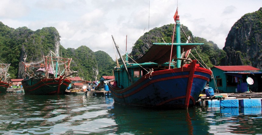 Kl99kl phiên bản hoạt động hàng hải nói chung và Kl99kl phiên bản hoạt động tàu cá nói riêng từng là nghiệp vụ thế mạnh của một số công ty Kl99kl phiên bản hoạt động phi nhân thọ