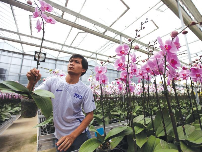 Kl991.com World Cup 2026 Chính Thức nông nghiệp đang muốn cơ cấu lại, nhưng thiếu nền tảng chính sách phù hợp. Ảnh: Đức Thanh