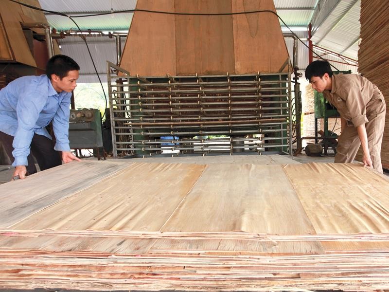 Nhiều cơ sở Kl994 nhà cái bóng đá world cup không dám thành lập Kl991.com World Cup 2026 Chính Thức trước thách thức của quá nhiều loại chi phí phải đóng. Ảnh: Đức Thanh