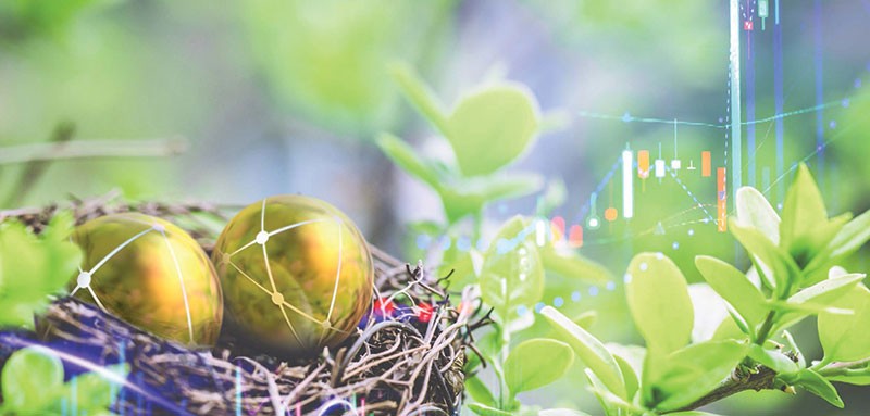 99Kl99 link đăng nhập xanh đã bắt đầu “nảy mầm”