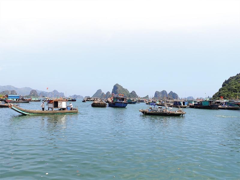 Khu vực Vân Đồn đang vào tầm ngắm của nhiều nhà Kl99ok phiên bản mới. Ảnh: Đức Thanh