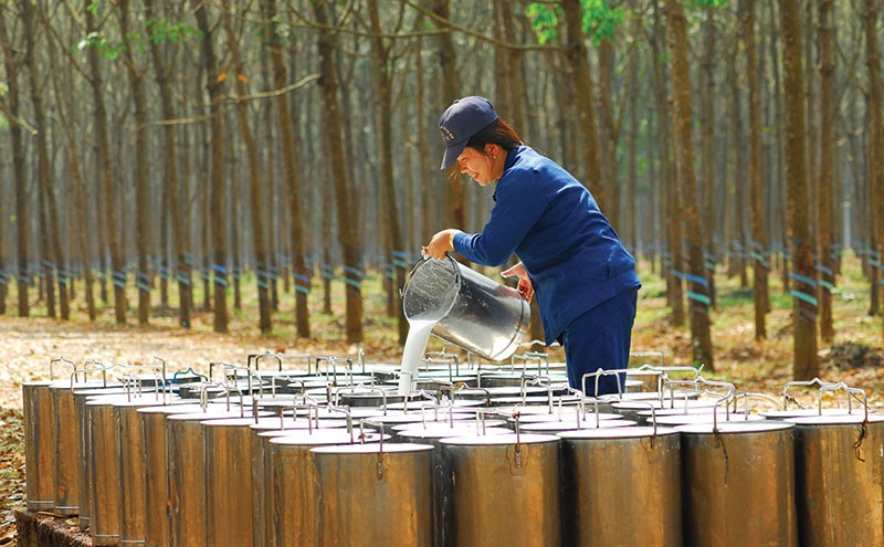 DPR ước đạt 53,1 tỷ đồng Kl99 nổ hũ trước thuế trong tháng 4