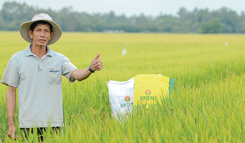 Bộ sản phẩm mang thương hiệu “Đạm Cà Mau – Hạt Ngọc Mùa Vàng” đã trở thành lựa chọn hàng đầu của nông dân 
