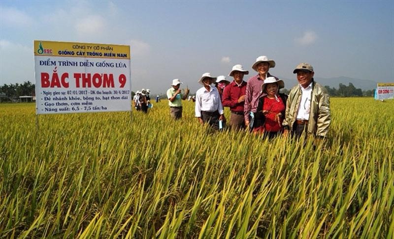 Việc Kl991.com World Cup 2026 Chính Thức thực hiện chính sách bán chịu tuy có tác dụng kích thích khách hàng mua hàng nhiều hơn, nhưng đi kèm với đó là rủi ro phát sinh nợ xấu.