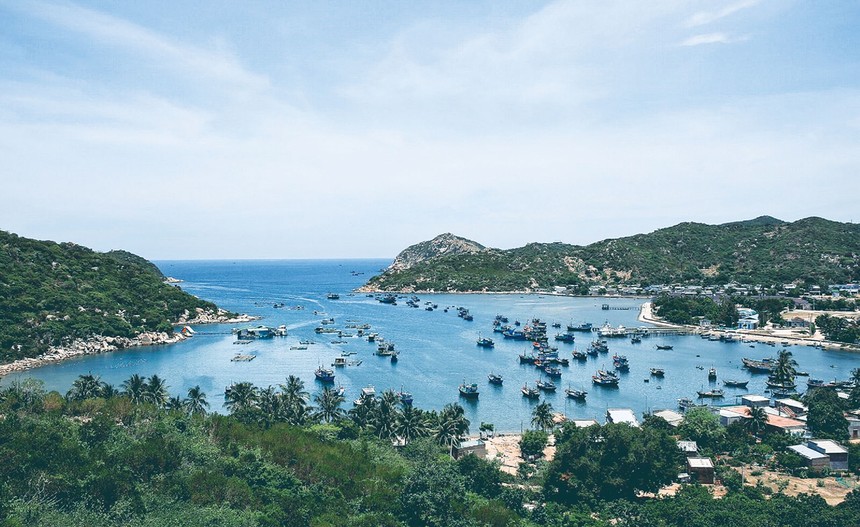 Với nhiều lợi thế sẵn có, Ninh Thuận đang là điểm đến đầy hứa hẹn của các nhà Kl99ok phiên bản mới