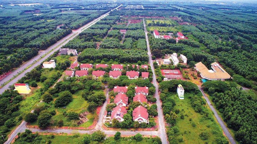 Nhiều khu đất rừng, rẫy tại các tỉnh phía Nam bỗng chốc được giới Kl99ok phiên bản mới săn lùng, đẩy giá lên cao 