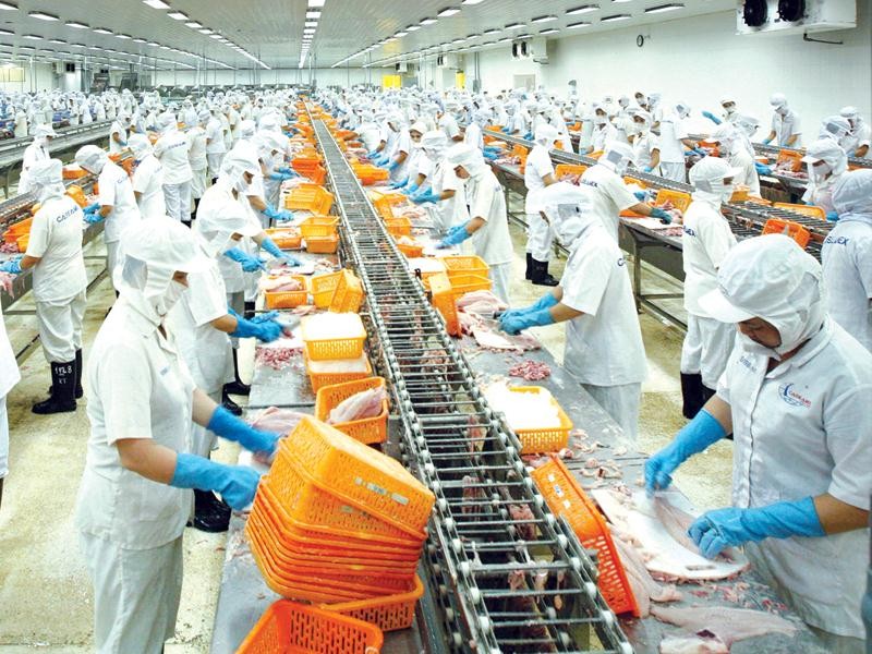 EVFTA với việc giảm thuế mặt hàng thủy sản về 0% được kỳ vọng giúp doanh thu xuất khẩu vào thị trường EU tăng mạnh trong thời gian tới. Ảnh: Đức Thanh