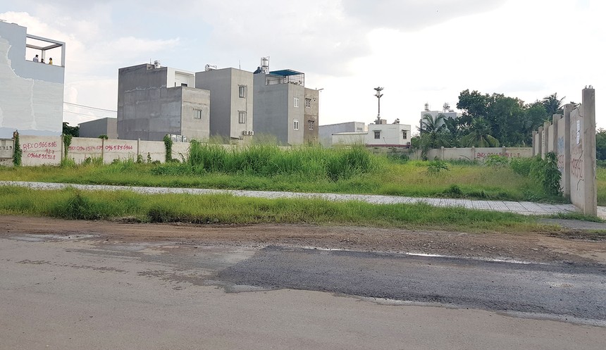 Dự án Khu dân cư cao cấp Long Phụng 1 do Công ty Đại Phúc Real vẽ ra chỉ là bãi đất trống. Ảnh: Trọng Tín