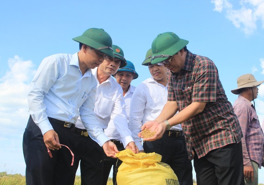 Tỉnh Quảng Trị sẽ có thêm chính sách để hỗ trợ địa phương nhân rộng các mô hình Kl994 nhà cái bóng đá world cup theo hướng hữu cơ organic.