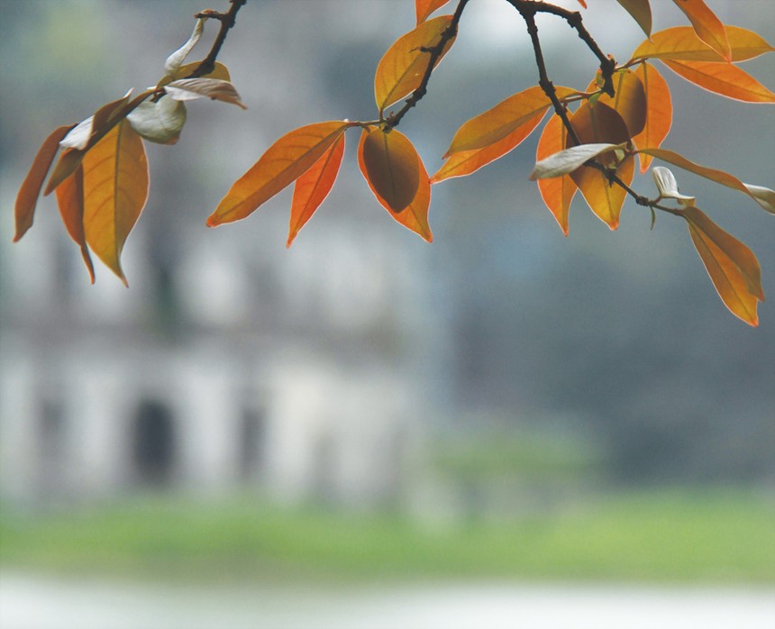 Ngõ nhỏ, phố nhỏ, nhà tôi ở đó…