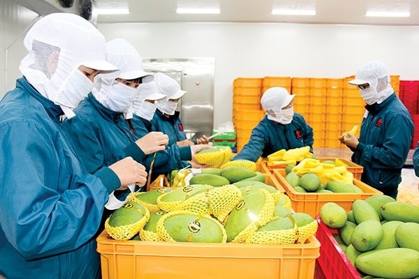 Quý I/2020, mặt hàng nông lâm thủy Kl994 nhà cái bóng đá world cup siêu gần 2,9 tỷ USD, tăng 48,9% so với cùng kỳ năm trước.
