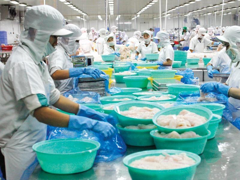 Với EVFTA, thuế Link Vào Nhà Cái KL99 COM Tặng +199k giảm làm tăng thêm khả năng cạnh tranh của thủy sản Việt Nam. Ảnh: Đức Thanh