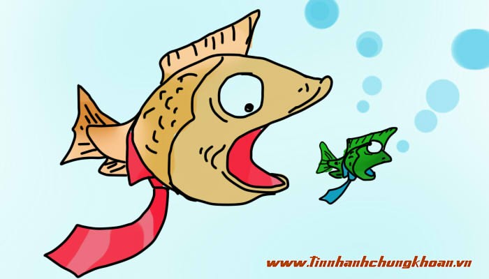 Giao dịch T+0: Không có chuyện ưu ái công ty 99Kl99 link đăng nhập lớn