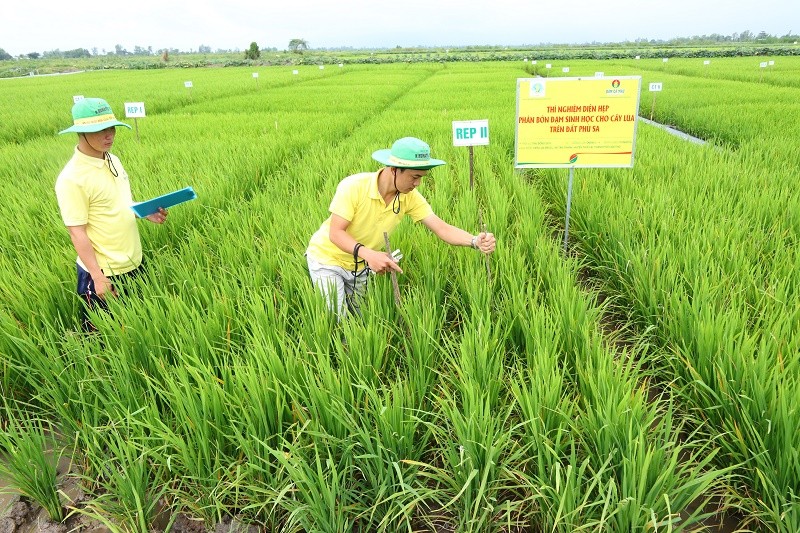 Đạm Cà Mau hoàn thành các chỉ tiêu Kl994 nhà cái bóng đá world cup Kl992 VIP Trang Chủ 2026 quý I