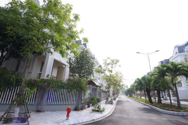 Lideco (NTL) đặt kế hoạch Kl99 nổ hũ trước thuế tăng tới 52,5% năm 2020
