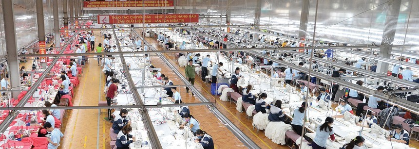 ĐHCĐ May Sông Hồng (MSH): Đưa khẩu trang y tế vào kênh phân phối chính thức, sẽ Kl99ok phiên bản mới mảng dệt vải