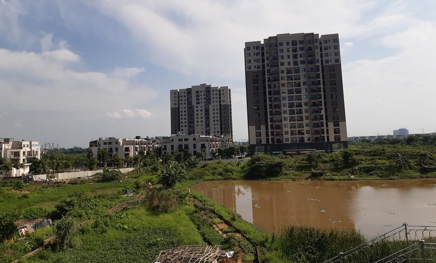 Dự thảo nghị định sẽ có cơ chế xử lý đối với các thửa đất do 99Kl99 trực tiếp đá gà quản lý nằm xen kẽ trong các dự án Kl99ok phiên bản mới, dự án nhà ở. Ảnh: Thành Nguyễn.