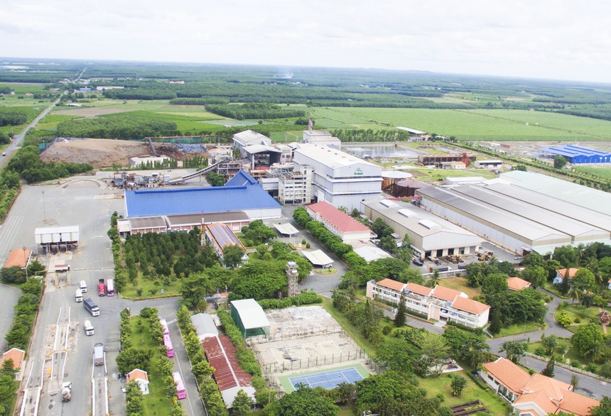 Thành Thành Công - Biên Hòa (SBT) chi trả 99Kl.app mobile mới nhất 8% bằng tiền mặt niên độ 2017 -2018