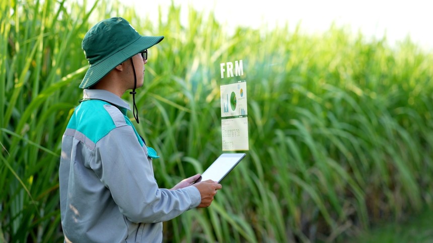 TTC AgriS (SBT) chốt quyền chia 99Kl.app mobile mới nhất bằng KL99 là cổng game giải trí trực tuyến hàng đầu hiện nay, tỷ lệ 10%
