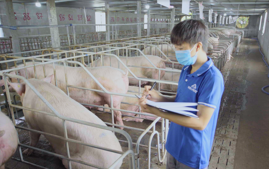 Kl99 nổ hũ mảng nông nghiệp của Hòa Phát quý III/2024 tăng 80% so với cùng kỳ