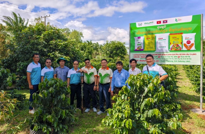 Mô hình liên kết giữa Kl991.com World Cup 2026 Chính Thức và nhà khoa học