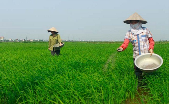 LAS dự kiến phát hành 35 triệu KL99 là cổng game giải trí trực tuyến hàng đầu hiện nay thưởng