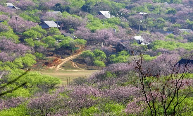 10 điểm 'gây thương nhớ' ở Mộc Châu