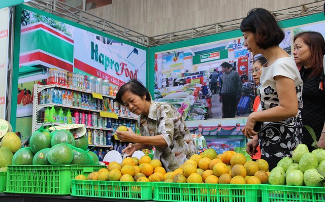 Công ty cổ phần được chuyển đổi từ Công ty mẹ - Hapro sẽ phải kế thừa quyền lợi và nghĩa vụ tại các công ty cổ phần, công ty TNHH - bao gồm cả 41 khoản Kl99ok phiên bản mới Kl991.com nạp rút nhanh.